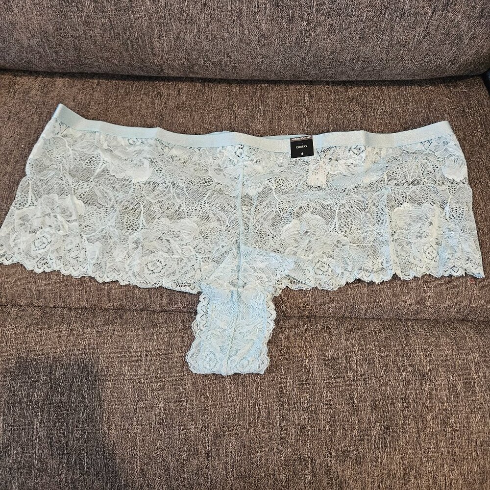 Torrid Light Blue Floral Lace Mid Rise Cheeky Panty Size 4x